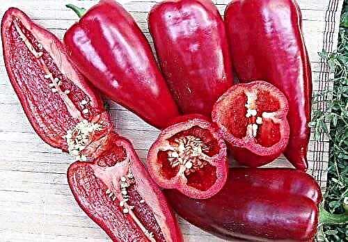 Пипер црвен