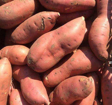 Благ компир