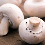 Свежи Шампињони