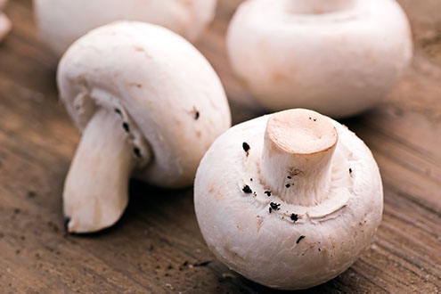 Свежи Шампињони