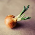 Млад кромид