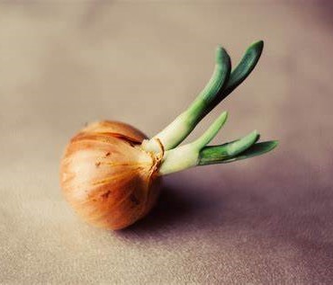 Млад кромид