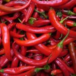 Кралска Урма